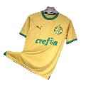 Camisa Palmeiras 24/25