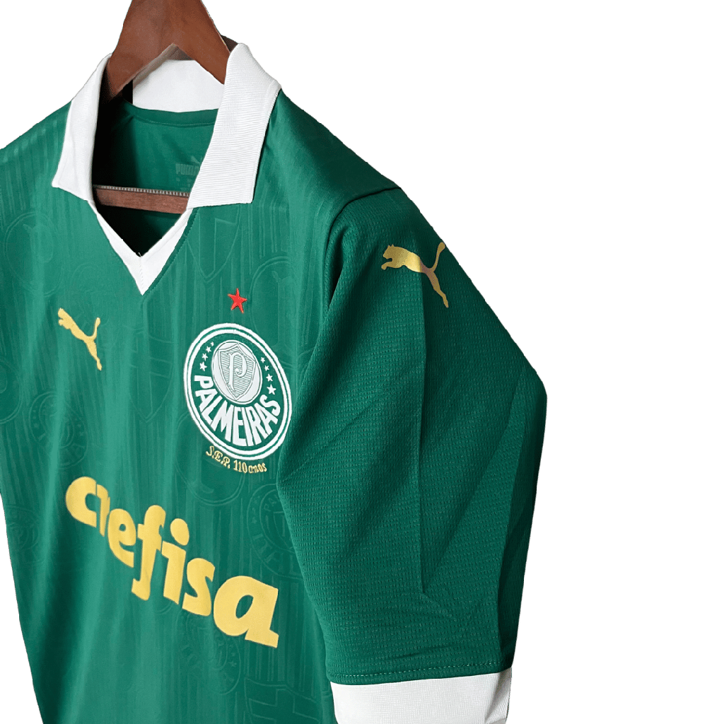 Camisa Palmeiras 24/25