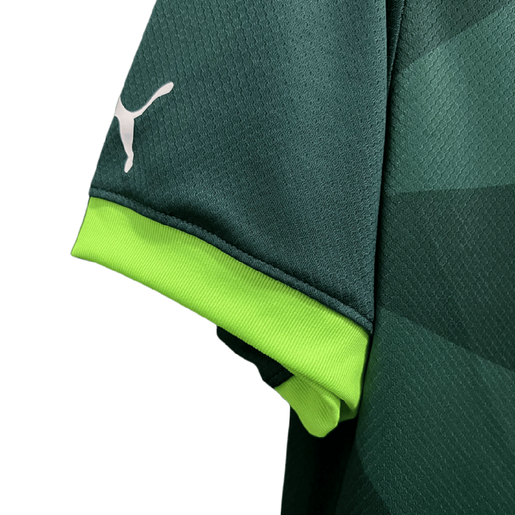 Camisa Palmeiras 23/24
